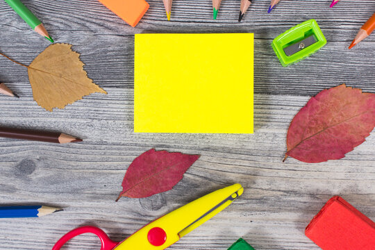 School accessories for learning. Back to school. Development of creativity and kids motor skills