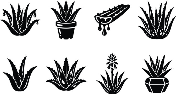 Aloe Vera Vector Silhouette Set, Succulent Plant Herbal Cosmetics