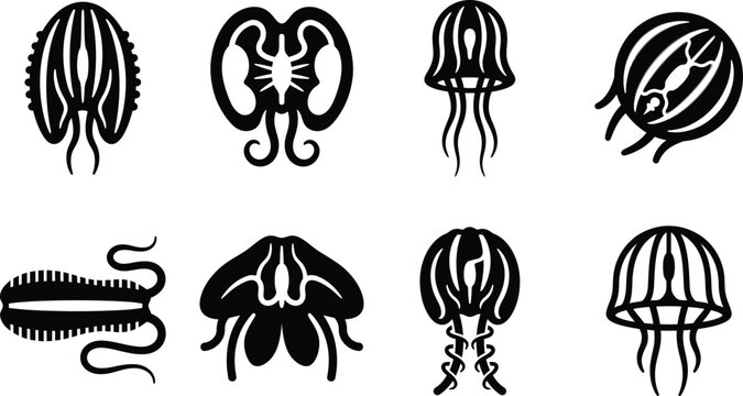 Comb Jelly Ctenophora Vector Silhouette Set, Marine Bioluminescent Jellyfish 
