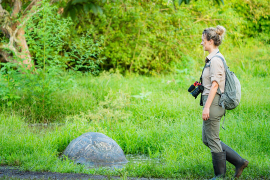 Tourist observe giant tortoise in Galapagos Islands