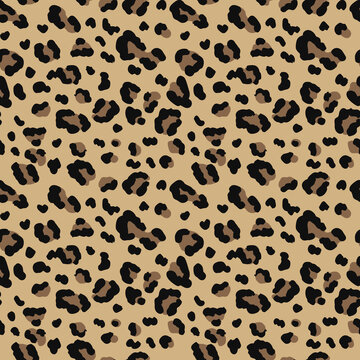 
Seamless vector leopard print, trendy wild cat spot design, modern animal texture.