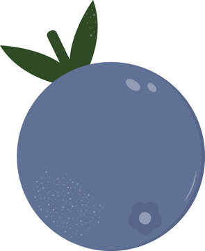 Flat illustration of a blueberry depicting a ripe berry with leaves for food and nutrition design