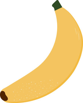 Flat illustration of a ripe banana depicting a curved tropical fruit for food and nutrition design