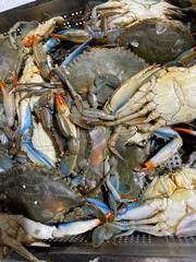 Fresh raw blue crabs piled on ice at a seafood market, showing blue claws, hard shells and natural colors. Close-up of fresh marine catch ready for cooking. © piece_ov_art