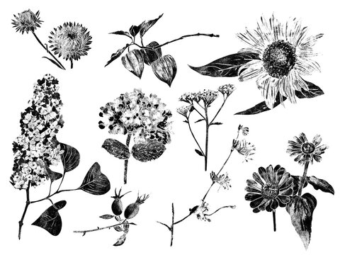 Slowflower 03