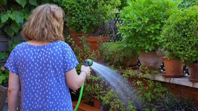 Slow motion rear view of woman watering potted plants and shrubs in a lush garden