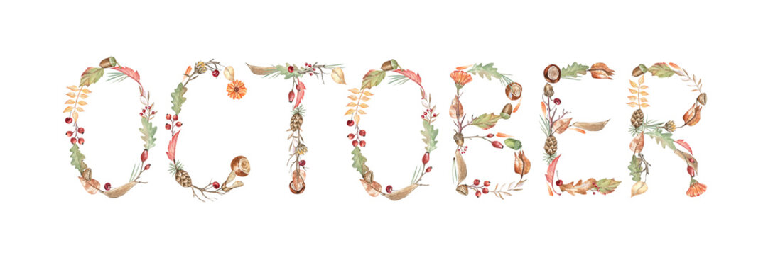 Botanical lettering of the word October; beautiful floral arrangement made of autumn leaves, acorns, twigs, flowers, pinecones, chestnuts, and berries. For scrapbooking, fall decorations