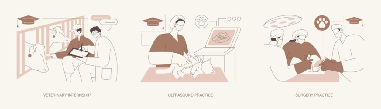 Veterinary Medicine internship isolated cartoon vector illustrations se