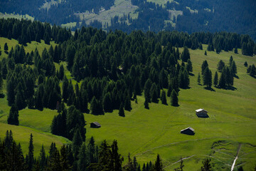 Fototapeta premium View of beautiful landscape in the Alps with fresh green meadows in the background on a sunny day with blue sky and clouds in summertime. Alpe de Siusi, Dolomite Alps