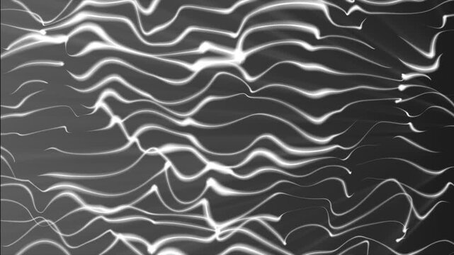 White glowing wavy lines with light rays on grey gradient background, dynamic stream of shining lines, abstract futuristic animation 