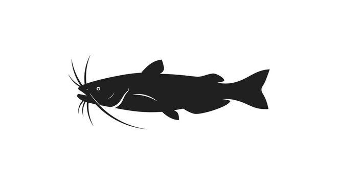 Vector illustration of catfish silhouette with black vector silhouette catfish white background freshwater restaurant vertebrate whiskers with creature