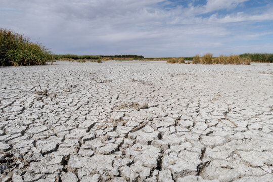 Drought-stricken Alcazar Lagoon Complex in Spain