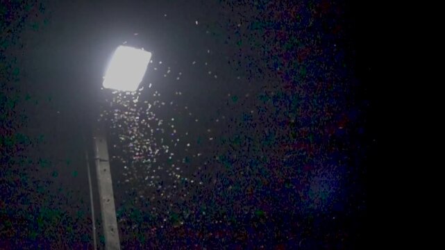 Fly like a moth to the fire. A lot of nocturnal insects and moths are circling in the light of the lantern, as snow.. Super slow motion 1000 fps.