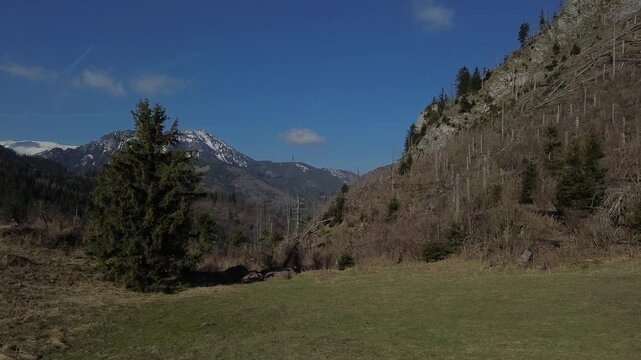 Przysłop Miętusi in spring time