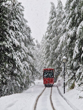 Red tram on A snowy forest railway in winter