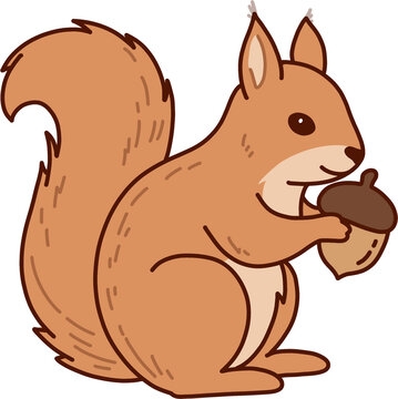 Cute brown squirrel holding acorn vector illustration, autumn forest wildlife concept