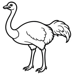 Naklejka premium Sketch of an ostrich walking with detailed feathers and long legs in black ink drawing