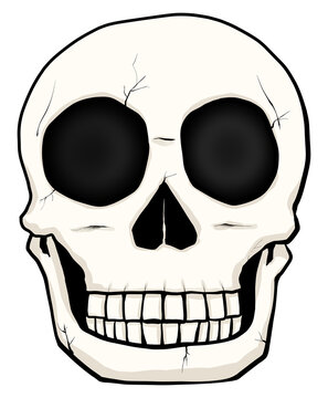 Cute cartoon human skull illustration