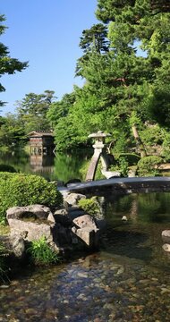 兼六園の霞ケ池と徽軫灯籠
