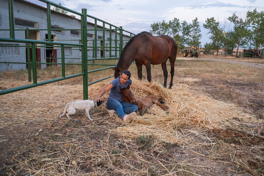 Girl with horse and colt at countryside stable