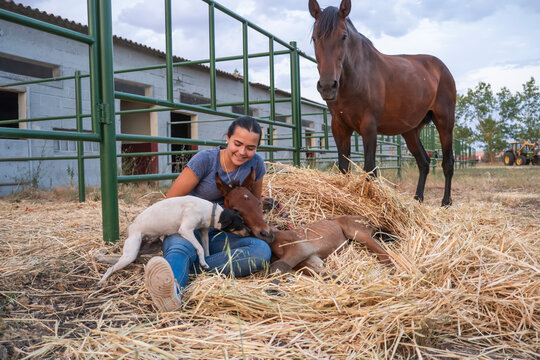Girl with colt and horse at countryside stable yard
