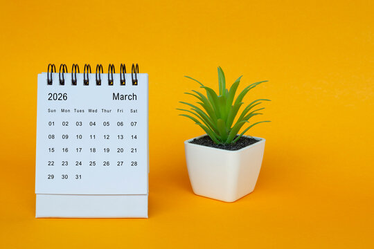 The March 2026 desk calendar with potted plant on yellow background.