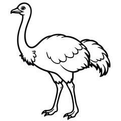 Naklejka premium Sketch of an ostrich walking with detailed feathers and long legs in black ink drawing