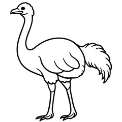 Naklejka premium Sketch of an ostrich walking with detailed feathers and long legs in black ink drawing