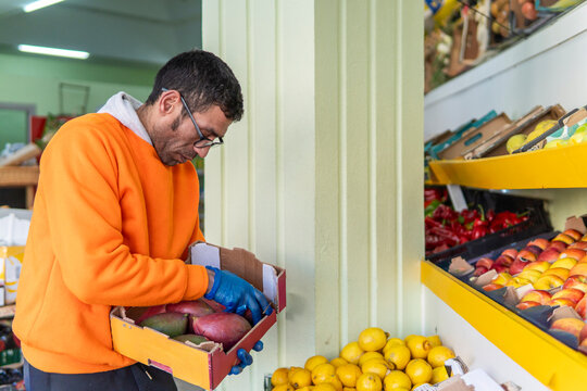 Shop worker sort fresh fruit at neighborhood market