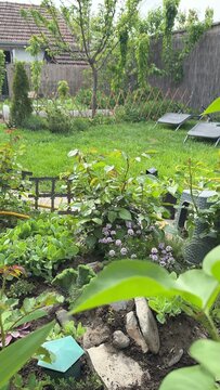 Lush green garden setting with vibrant foliage and blooming flowers, perfect for springtime gardening inspiration, a peaceful outdoor retreat scene, capturing natural growth and serenity