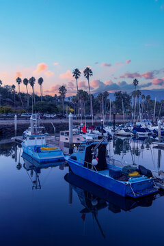 boats in the marina