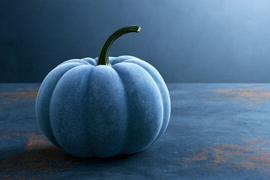 Halloween blue pumpkin on dark textured background with dramatic lighting and copy space, minimal autumn holiday concept