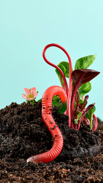 Creative dirt cake concept with colorful gummy worm crawling through chocolate cookie crumbs, surrounded by fresh plants and flower