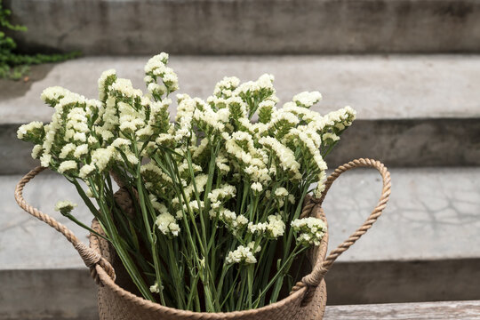 Close up of Statice flower on the table.