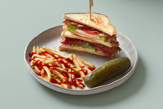 Turkey BLT sandwich with fries and pickle on plate