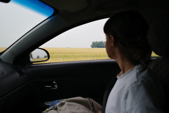 Person sitting in car viewing wheat field through window