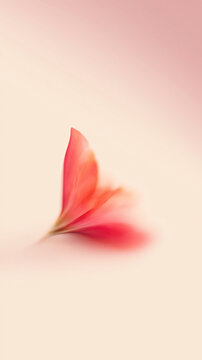 A soft red and coral petal-inspired abstract form blends into a pale pink and cream background. Gentle blur and analog grain create a minimal, elegant composition.