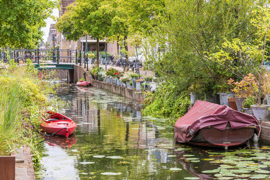 Green canal street with boats and trees in Leiden's Little Venice Netherlands