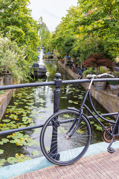 Bicycle locked to a bridge over a leafy canal in Leiden, The Netherlands city scene