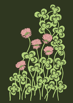 Pink Clover Arrangement