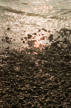 Sun Sparkles on Rocky Shore