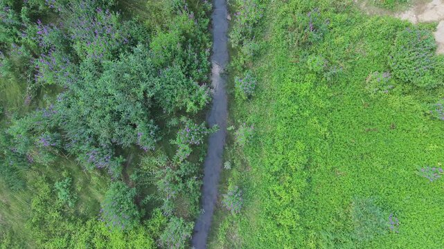 Aerial Top Down View Small Stream Creek Remaining From Dried Lake Bed Bijambare Nature Park Bosnia