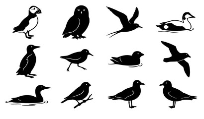 Fototapeta premium Arctic Bird Species Puffin Snowy Owl Tern Eider and Guillemot Black Silhouette Set