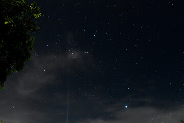 Fototapeta premium Beautiful night sky astrophotography featuring the Orion constellation, glowing stars, and wispy clouds with tree silhouette.