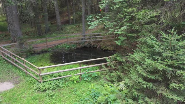 Aerial View Small Natural Spring Pond Wooden Fence Bijambare Cave Park Forest Dense Trees Bosnia