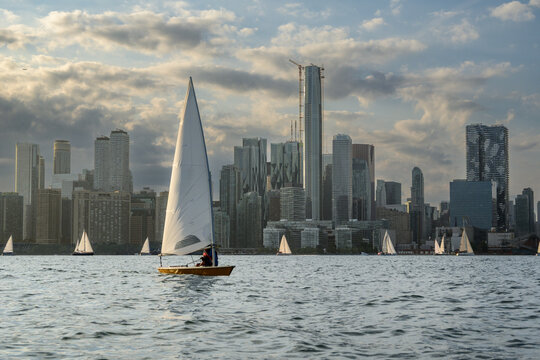 Sailboat crossing Toronto's harbour with the downtown skyline and other sailboats in view on a Friday evening in August