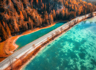 Fototapeta premium Asphalt road highway along turquoise alpine lake in Dolomites, Italy. Aerial top down drone view of coastal road, clear water, orange larch forest slope and autumn mountain landscape. Fall colors