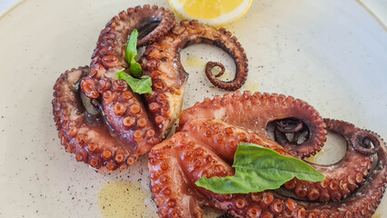 italian special food © Goffredo Iacobino
