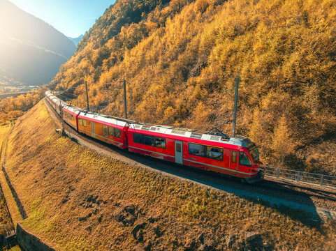 Aerial view of modern red train in alpine mountains, orange meadows at sunset in autumn. Bernina Express, Switzerland. Top view of train in Alps, winding railroad in fall. Railway station. Travel