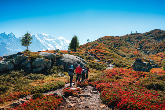 Group of Hiker Walking on Mountain Ridge Surrounded by Autumn Field and Looking at Mont Blanc Massif in Chamonix French Alps